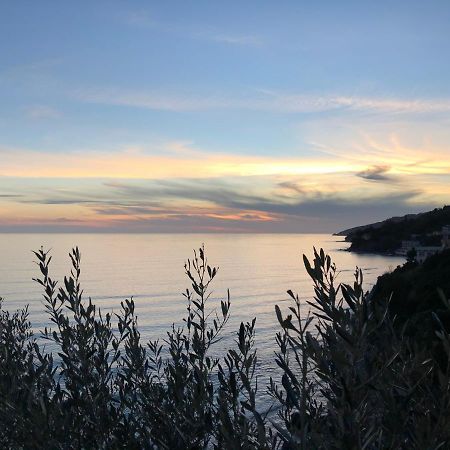 Villa Martina Mare Casal Velino Exteriör bild