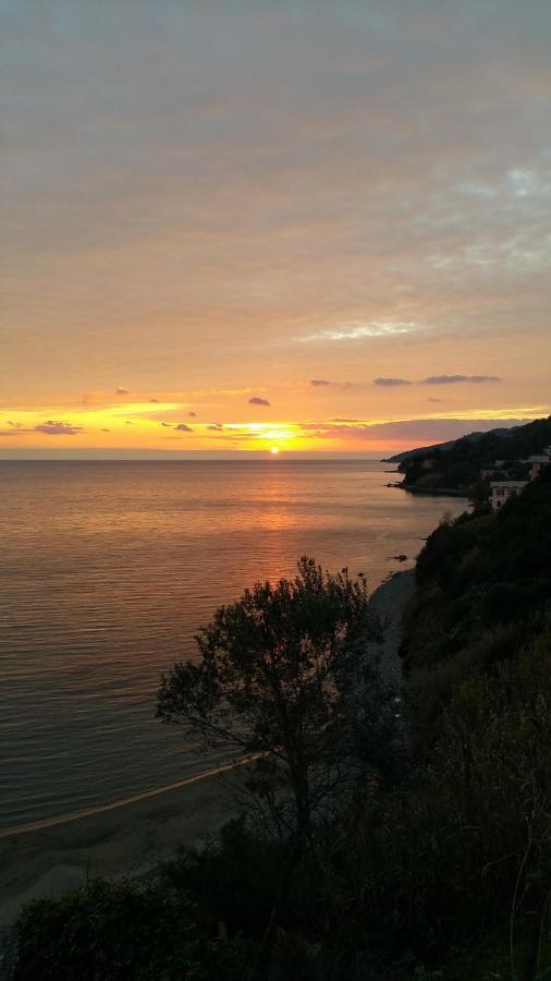 Villa Martina Mare Casal Velino Exteriör bild