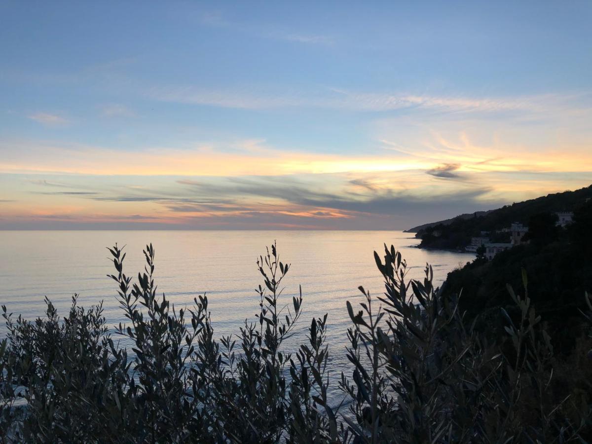 Villa Martina Mare Casal Velino Exteriör bild